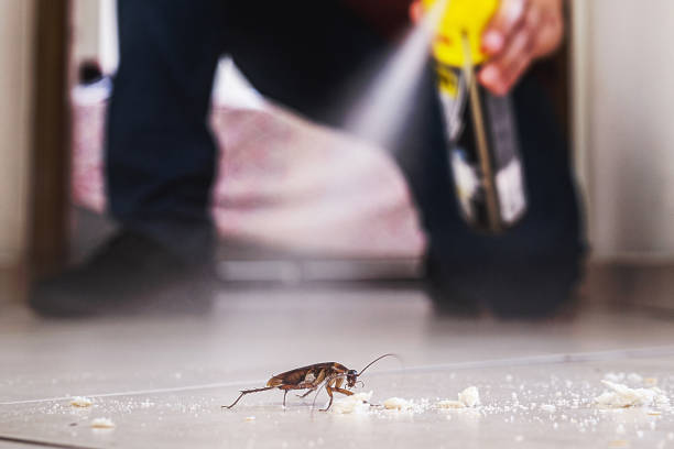 Wasp Removal Services in Fremont, IN